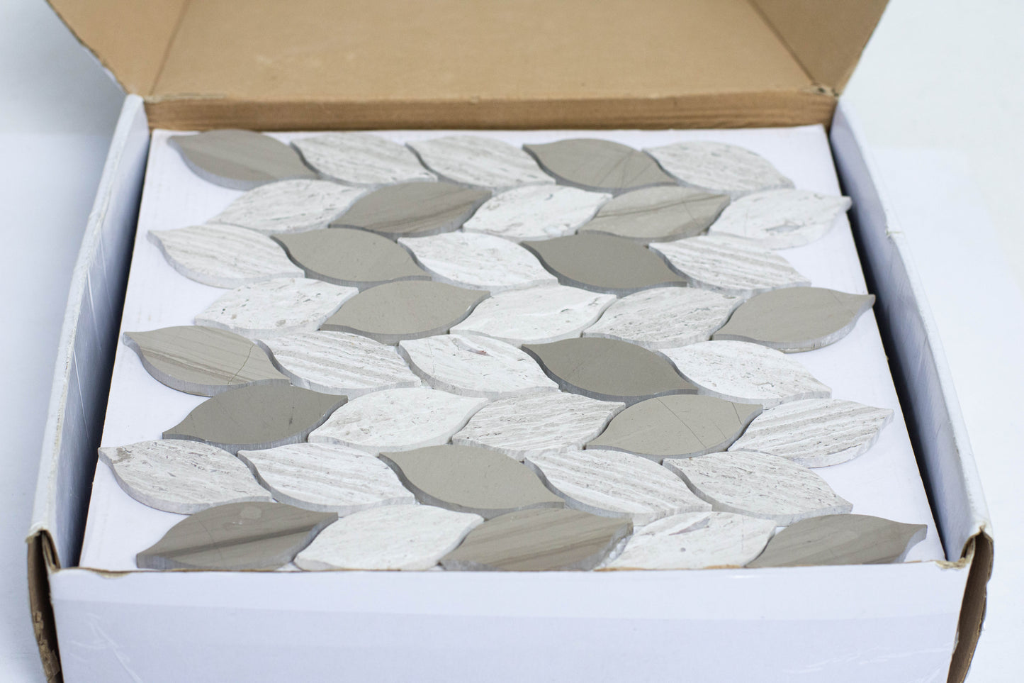 Foglie Patagonia - SM3101 - 1era