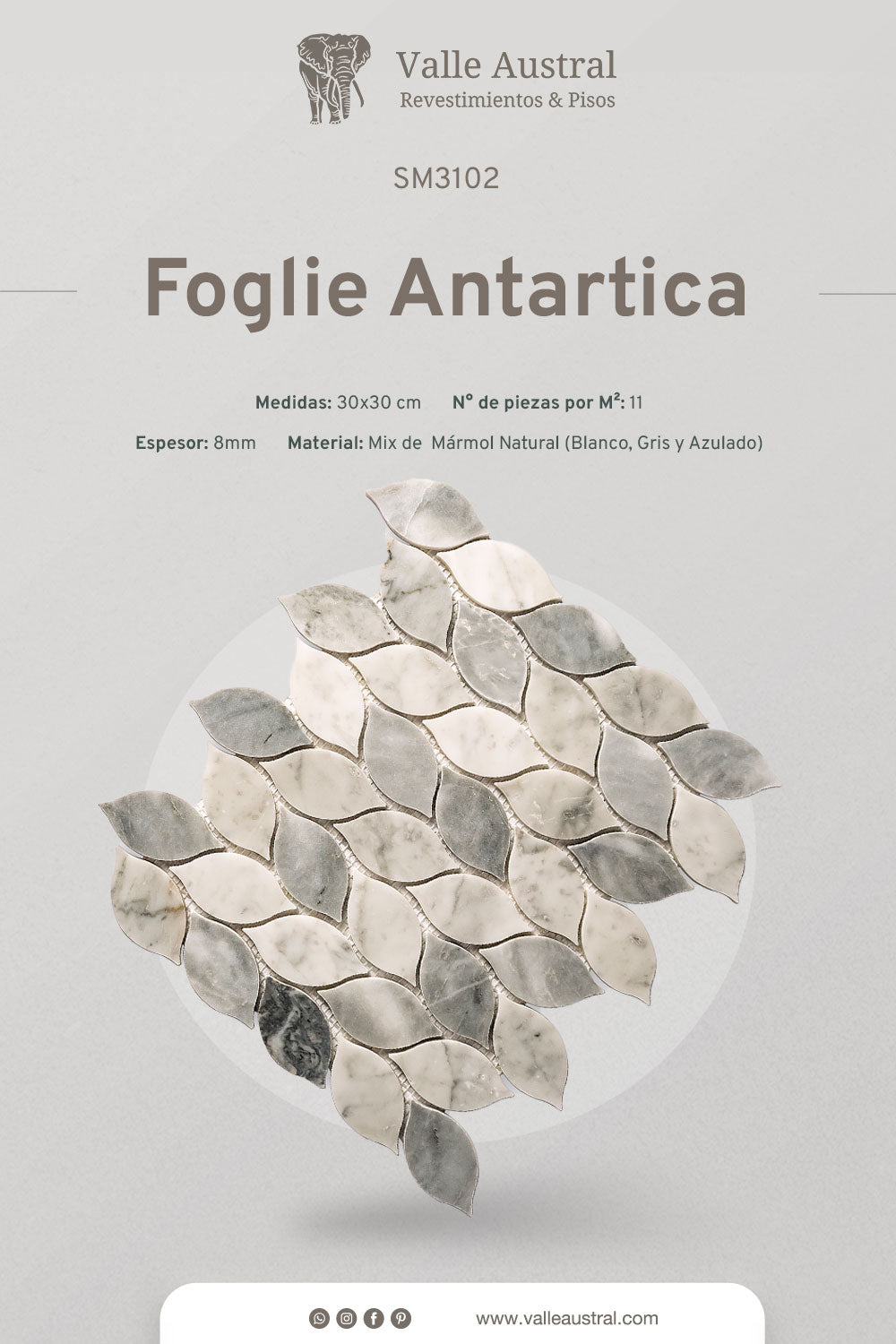 Foglie Antartica - SM3102 - 1era