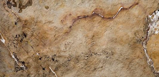 Arenisca Traslucida - 122x61 CM - Piedrafina - 1era