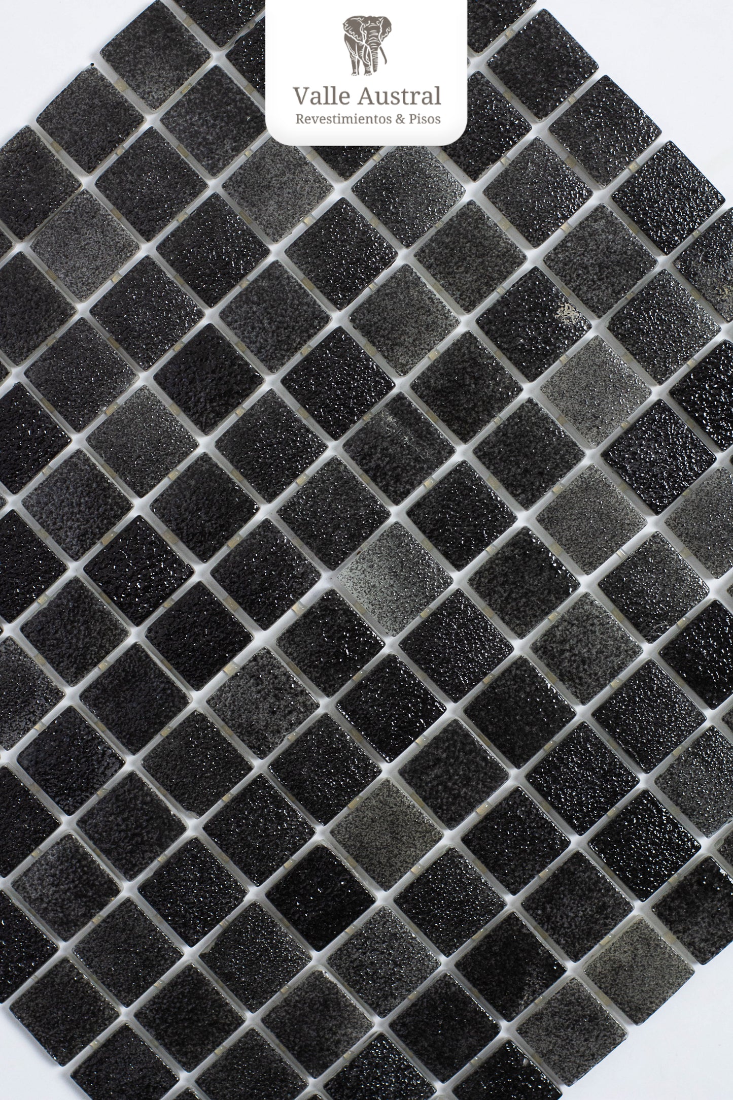 Eco Piscine Black 6 - 1era