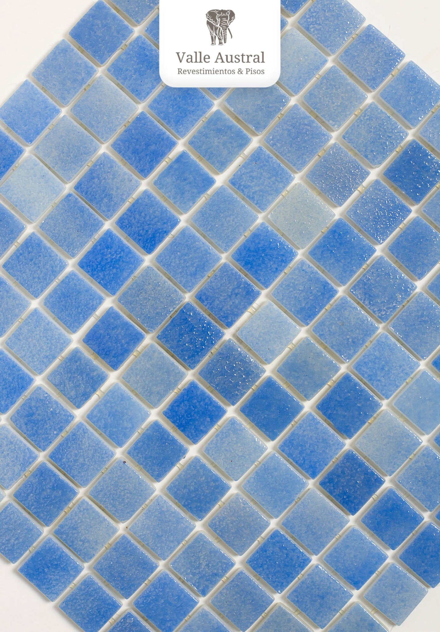 Eco Piscine Blue 66 - EV6003 - 1era