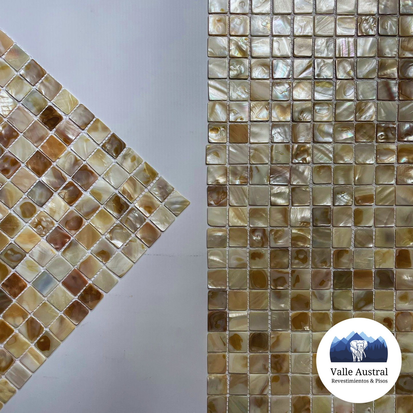 Tahiti 1 - SH1201 - 1era