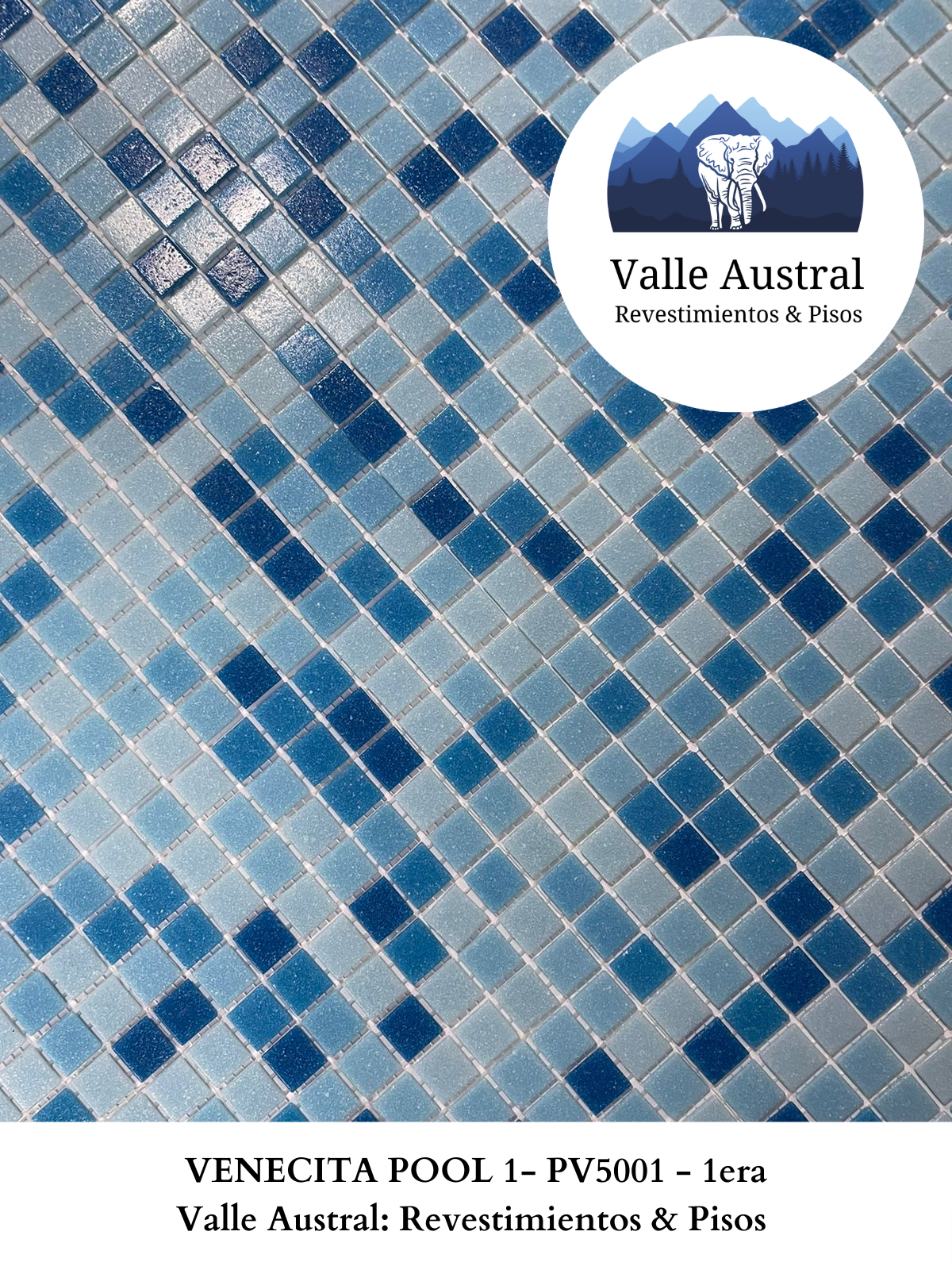 Venecita Pool 1 - PV5001 - 1era