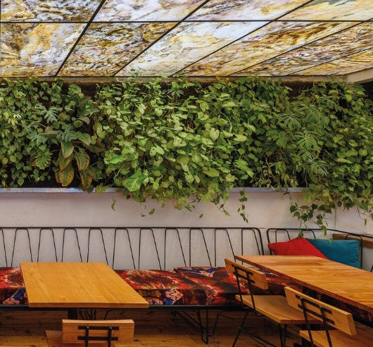 Arenisca Traslucida - 122x61 CM - Piedrafina - 1era