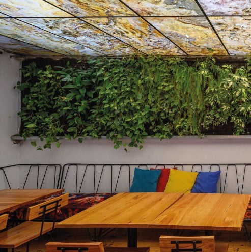 Arenisca Traslucida - 122x61 CM - Piedrafina - 1era