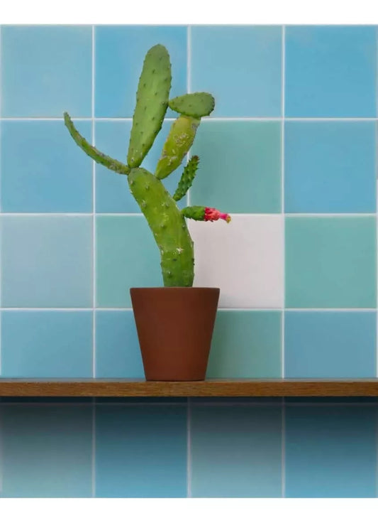 Azulejo Liso Satin Celeste Claro Brillante 10,3 X 10,3 - Acuelera ( X CAJA de 0,25 m2) - 1era