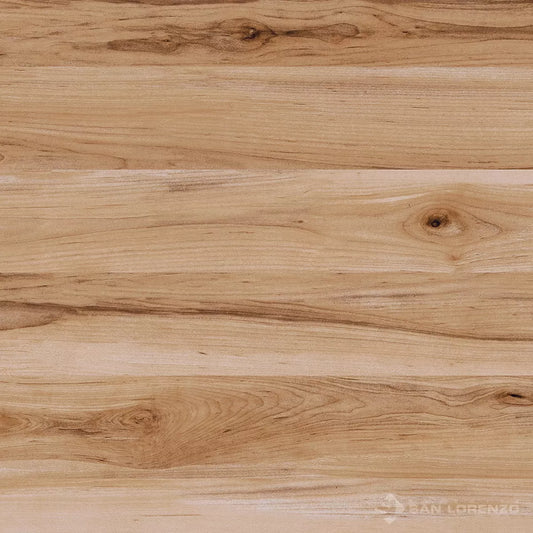 Caleb Canela - 58x58 - Porcelanato - San Lorenzo - 1era (m2)