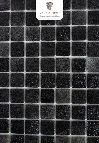 Eco Piscine Black 6 - 1era