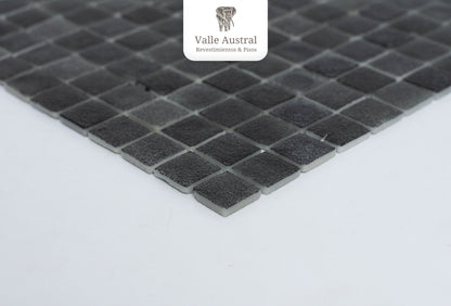 Eco Piscine Black 6 - 1era