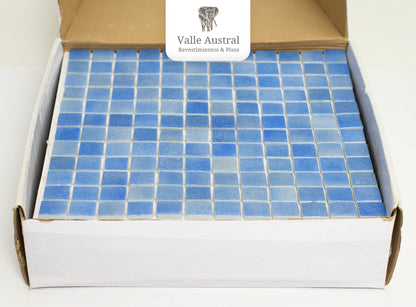 Eco Piscine Blue 66 - EV6003 - 1era